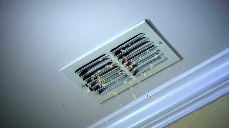 Best Local Air Duct Cleaning Services  in Weidman, MI