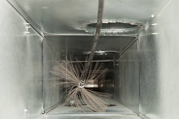 Best Professional Duct Cleaning Services  in Weidman, MI