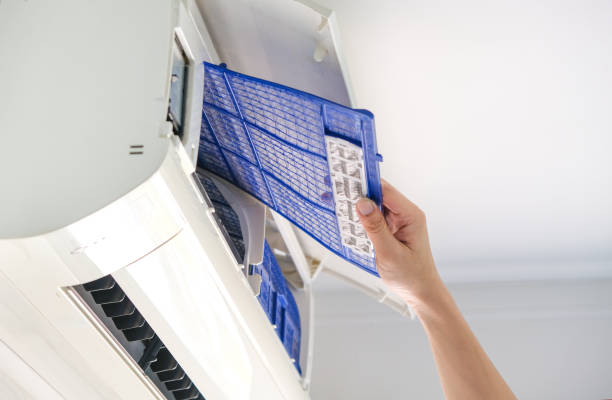 Best Affordable Duct Cleaning Services  in Weidman, MI