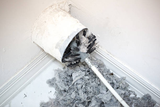 Best Ventilation Cleaning Services  in Weidman, MI