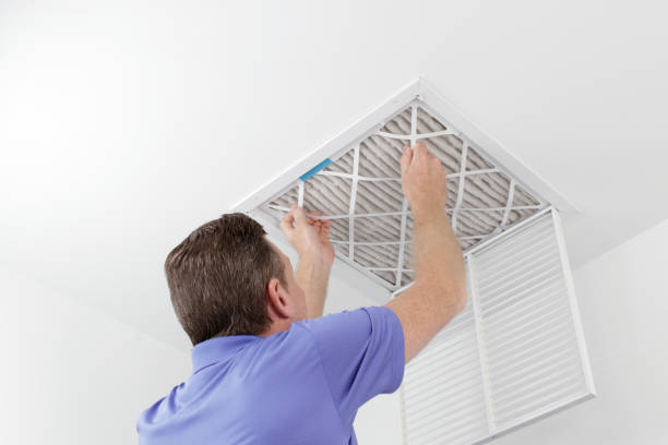 Best Duct Cleaning Specialists  in Weidman, MI